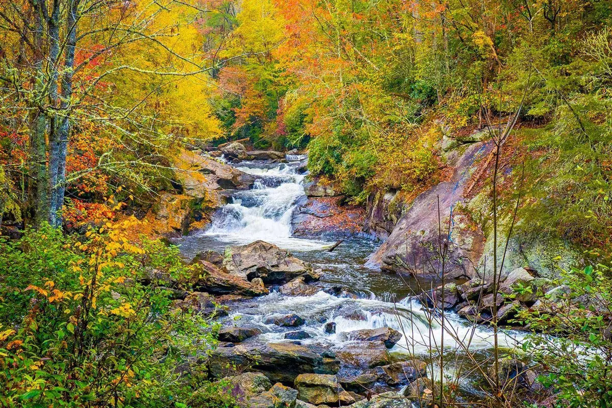 A serene view of flowing water surrounded by colorful fall foliage and rock formations, inviting viewers to imagine tranquil hikes, picnics, and quiet moments in nature. The calm mood mirrors the restful and rejuvenating experiences available at nearby green spaces.